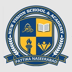 new vission school and academy